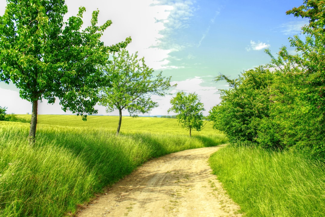 10 Simple Steps to Elevate Your Eco-Friendly Wellness