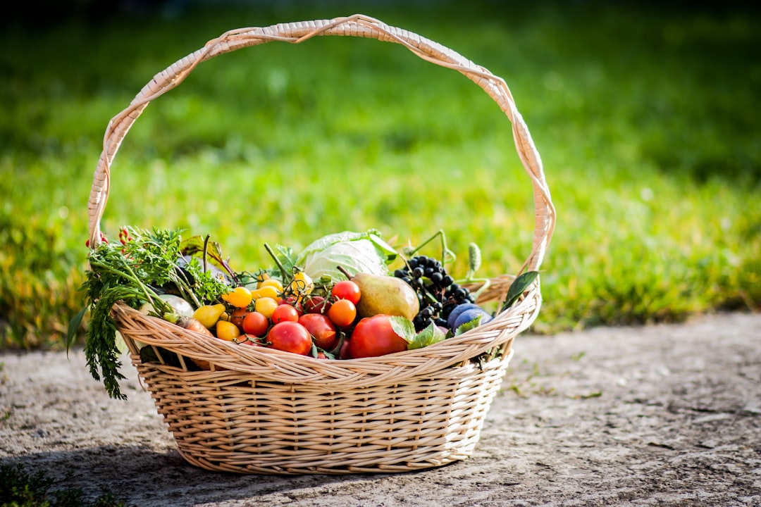 10 Simple Steps to Embrace Sustainable Wellness Daily