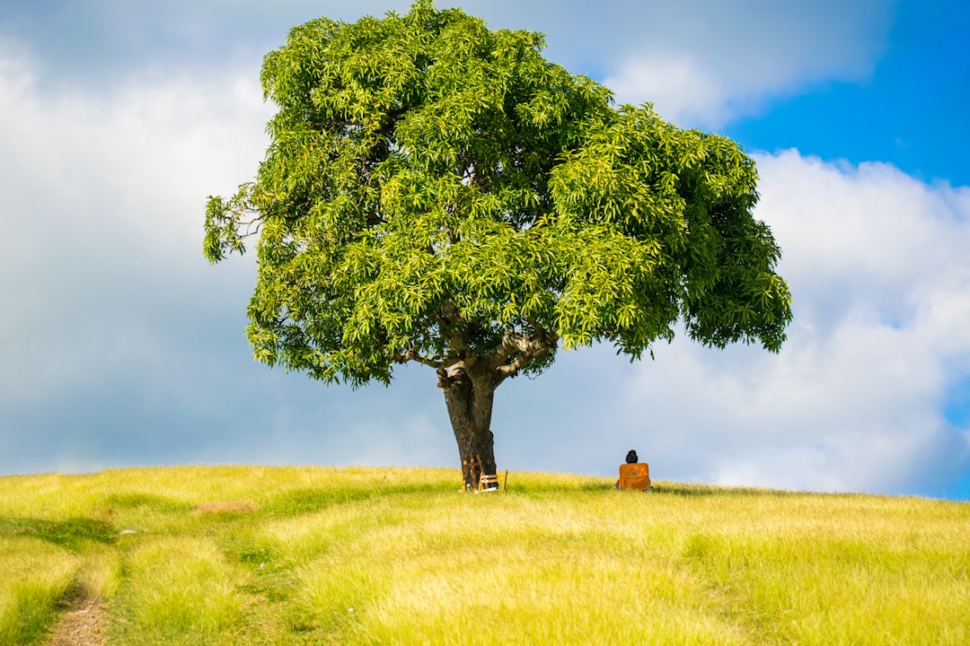 Eco-Friendly Habits for a Balanced, Holistic Lifestyle
