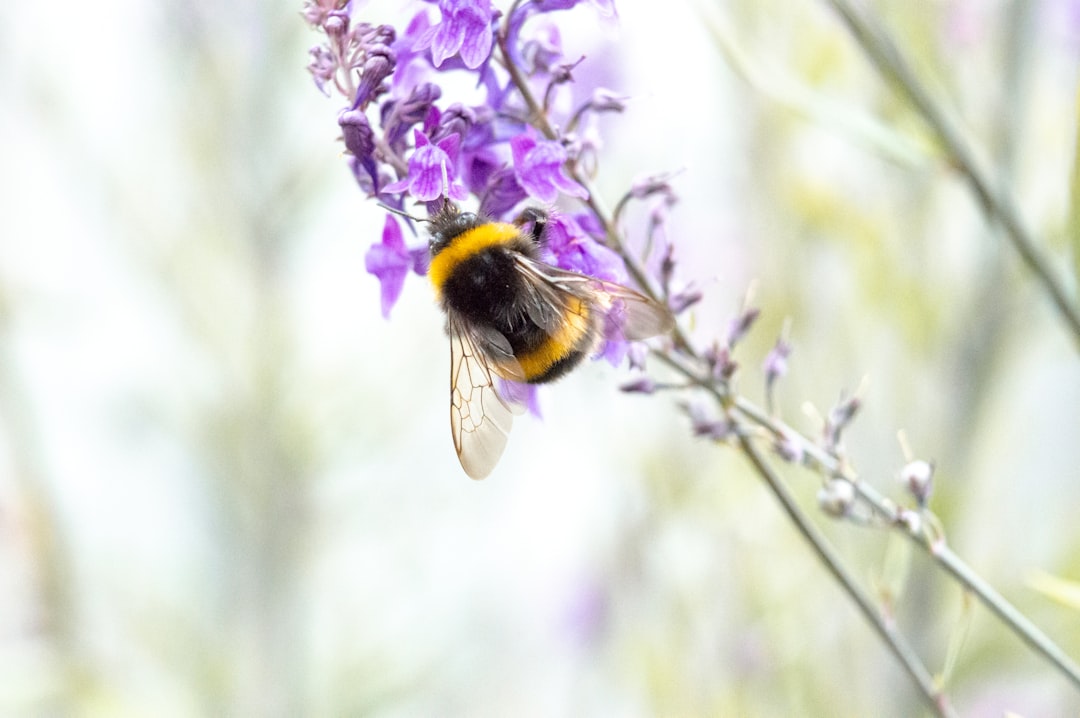 Eco-Friendly Habits for a Holistically Balanced Life