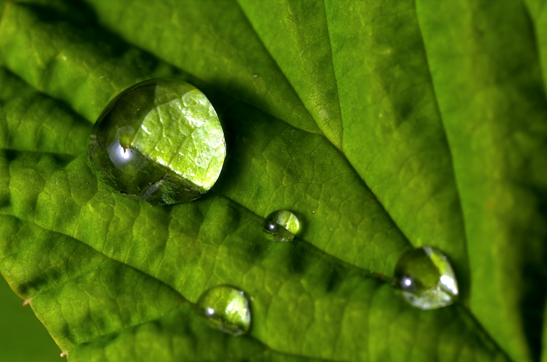 Embrace Eco-Friendly Habits for Holistic Well-Being