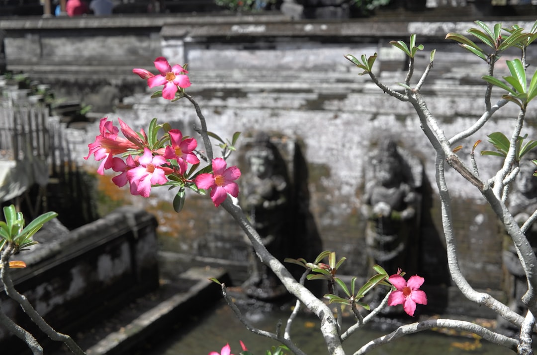 Embrace Global Mindfulness: Holistic Practices from Diverse Cultures