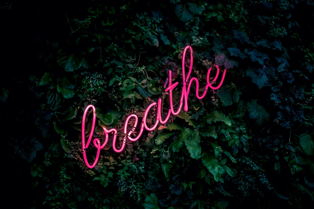 Master Work-Life Balance: Holistic Tips for Stress-Free Living