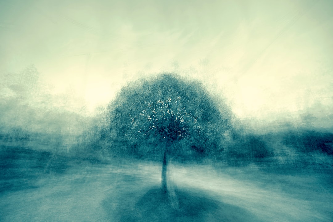 Transform Your Space: Healing Art for Holistic Wellness