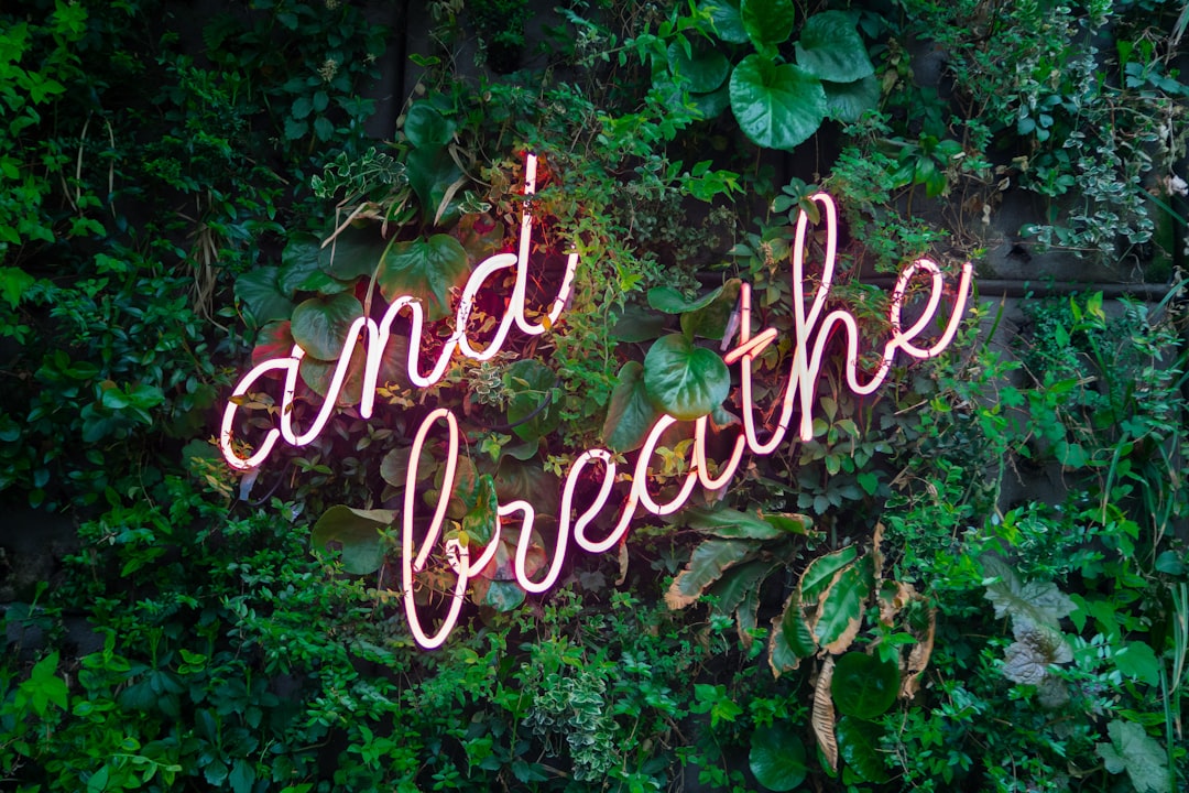 Unlock Inner Peace: 7 Holistic Paths to Mental Clarity