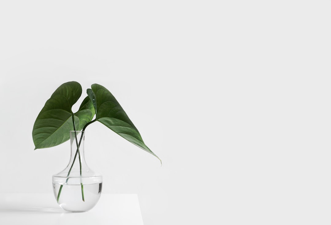 Unlock Optimal Health with These 7 Holistic Living Hacks