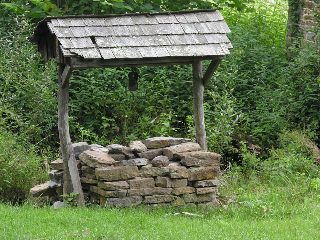 Unlocking Ancient Wisdom: Cultural Practices for Holistic Wellness